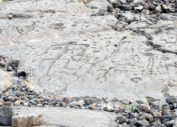 Figures and patterns from the Waikoloa petroglyphs in Hawaii