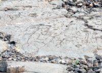 Figures and patterns from the Waikoloa petroglyphs in Hawaii Figures and patterns from the Waikoloa petroglyphs in Hawaii
