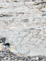 Complex figure from the Waikoloa petroglyphs in Hawaii