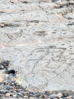 Complex figure from the Waikoloa petroglyphs in Hawaii Complex figure from the Waikoloa petroglyphs in Hawaii