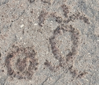 Rounded figure from the Waikoloa petroglyphs in Hawaii