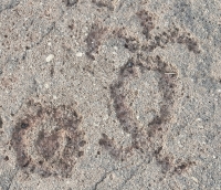 Rounded figure from the Waikoloa petroglyphs in Hawaii Rounded figure from the Waikoloa petroglyphs in Hawaii