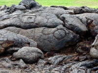 Two symbols, the Waikoloa petroglyphs