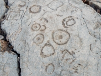 Symbols and half a triangle figure, the Waikoloa petroglyphs