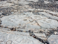 Circles on the lava, the Waikoloa petroglyphs