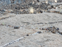 A crowd of symbols, the Waikoloa petroglyphs