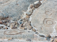 Circles, the Waikoloa petroglyphs