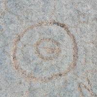 Concentric circles, the Waikoloa petroglyphs