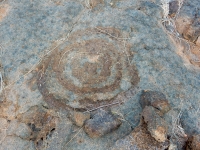 Spiral, the Waikoloa petroglyphs