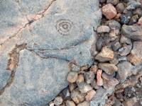 Concentric circles, the Waikoloa petroglyphs