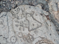 Unusual shape, the Waikoloa petroglyphs