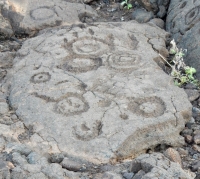Circles, the Waikoloa petroglyphs