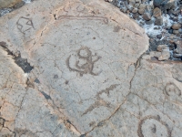 Unusual shapes, the Waikoloa petroglyphs