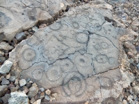 Circles, the Waikoloa petroglyphs