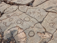 Circles and figures, the Waikoloa petroglyphs