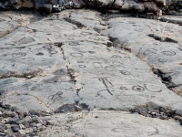 Symbols and figure, the Waikoloa petroglyphs