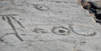 Interesting symbols, the Waikoloa petroglyphs