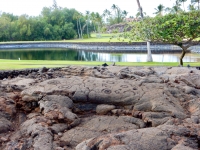 The Waikoloa petroglyphs and water hazard at neighboring golf course