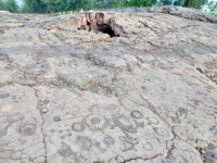 Lava tube cave shelter and petroglyphs at Waikoloa