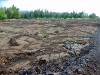 The Waikoloa petroglyph field