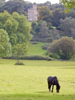 Clytha Castle, Wales. 18th century folly