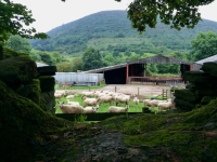 View from Llanthony Priory