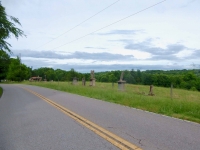 E.T. Wickham's statues in their new location on Oak Ridge Road in Palmyra, Tennessee.