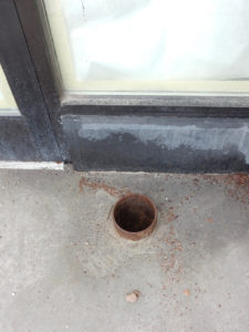 Thousand-year Thomasson