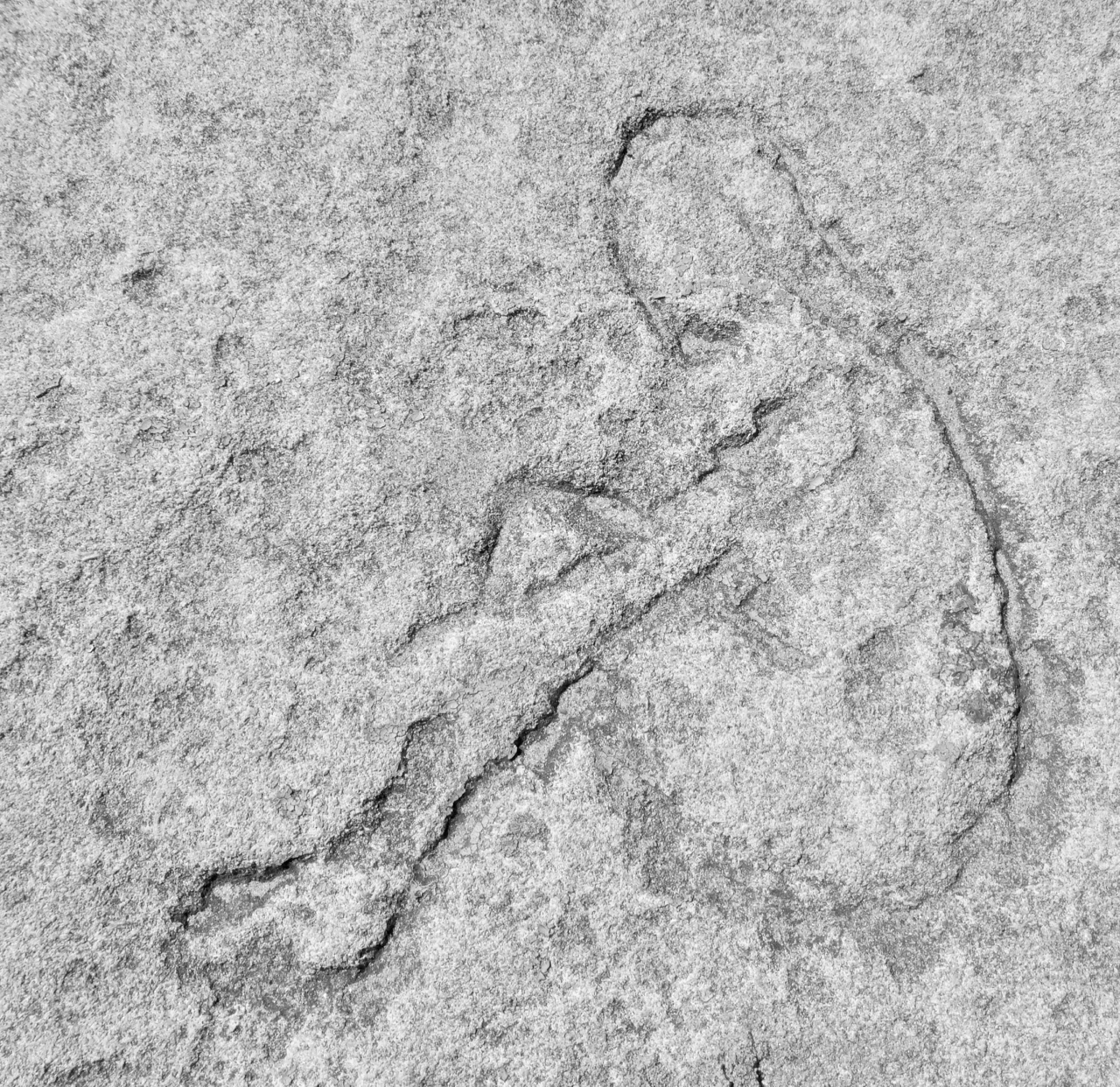 Seated bathing beauty. Chicago lakefront stone carvings, north of Foster Avenue Beach