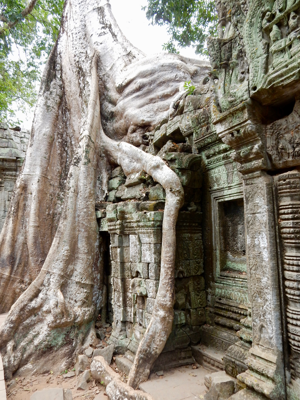 Ta Prohm, 12th-13th century, Siem Reap temple