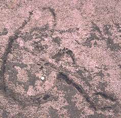 Lakefront carving: Bathing Beauty