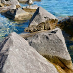 Morgan Shoal lakefront, Hyde Park, Chicago