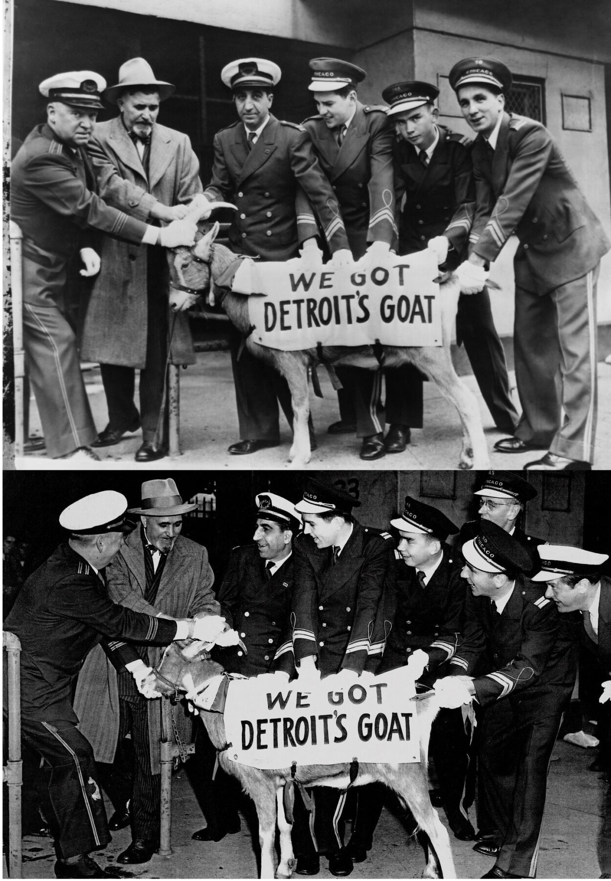 40,000 Murphy, Andy Frain ushers, William Sianis and the famous World Series goat