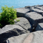 Rocks and carvings behind La Rabida Hospital, Chicago
